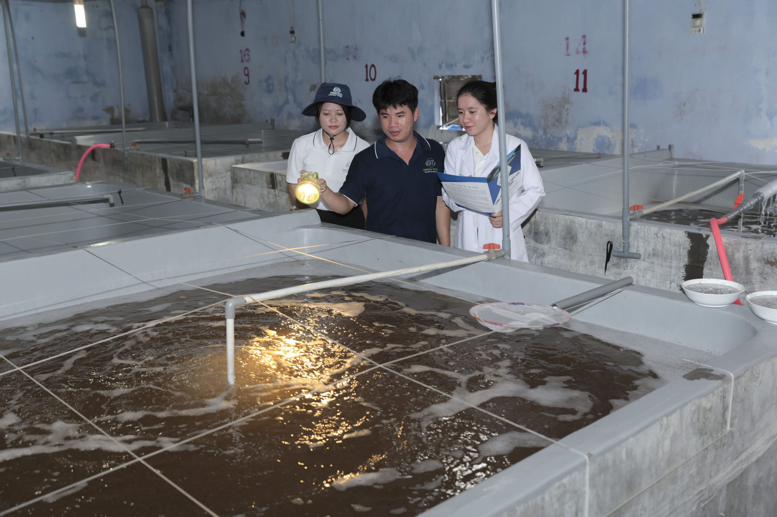 Quy trình nuôi tôm sú giống chuyên nghiệp vi mô
