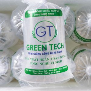 tôm sú giống chất lượng