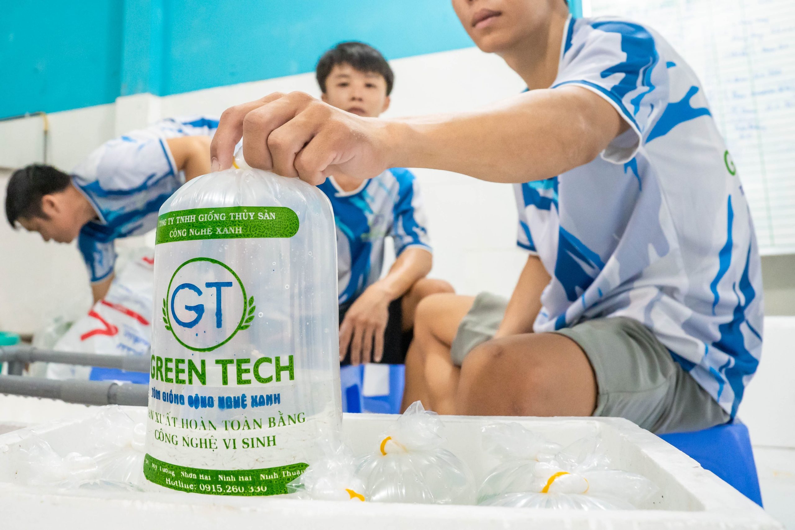 tôm sú giống Ninh Thuận vận chuyển toàn quốc miền tây hay bất cứ đâu